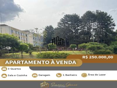 Apartamento para Venda na cidade de Tel&ecirc;maco Borba no bairro Centro